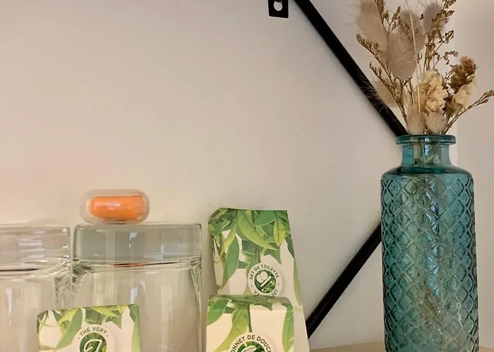 Ambassadeur - Port De Plaisance 3* שרבורג