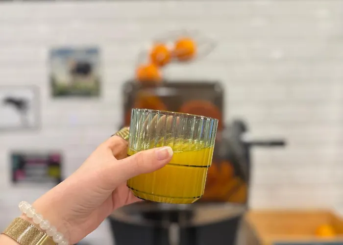 Ambassadeur - Port De Plaisance מלון