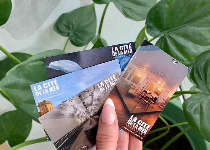 Ambassadeur - Port De Plaisance 3*